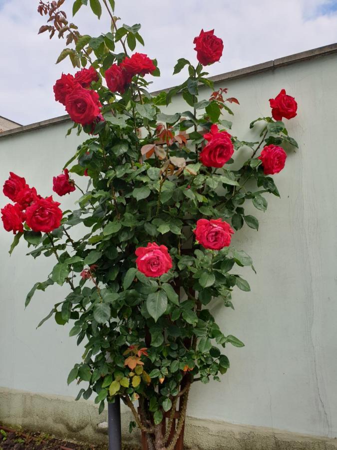 Mirana Family Hotel Burgas City Exterior foto